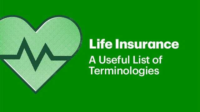 https://www.tdinsurance.com/products-services/life-insurance/life-guide/life-insurance-terminology/_jcr_content/root/container/responsivegrid_right/container_copy_copy__1765169621/image.coreimg.50.640.jpeg/1674341278240/life-insurance-terminology-en.jpeg